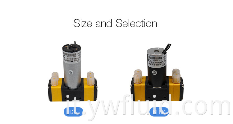 Spruzzatore per mini spruzzi a doppio mini spruzzatore di alta qualità da 12 V Diaframma